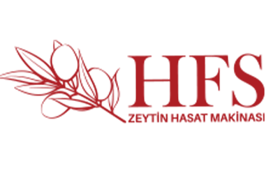 HFS