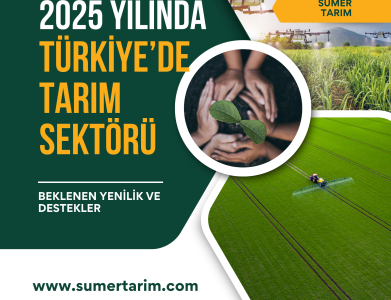 2025 Yılında Türkiye \'de  Tarım Sektöründeki Yenilikler ve Destekler