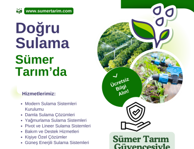 Tarla Sulama Sistemleri: Verimlilik ve Sürdürülebilirlik İçin En İyi Çözümler